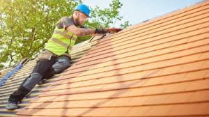 Best Roof Insulation Installation  in Jerseyvle, IL